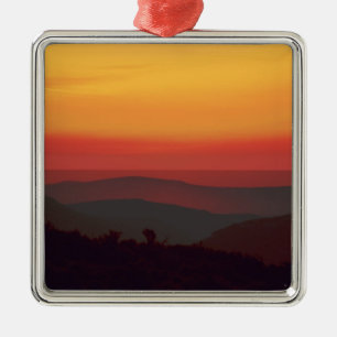 Africa, South Africa, Northern Cape Province, Metal Tree Decoration