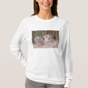 Africa, South Africa, Tswalu Reserve. Cheetahs T-Shirt