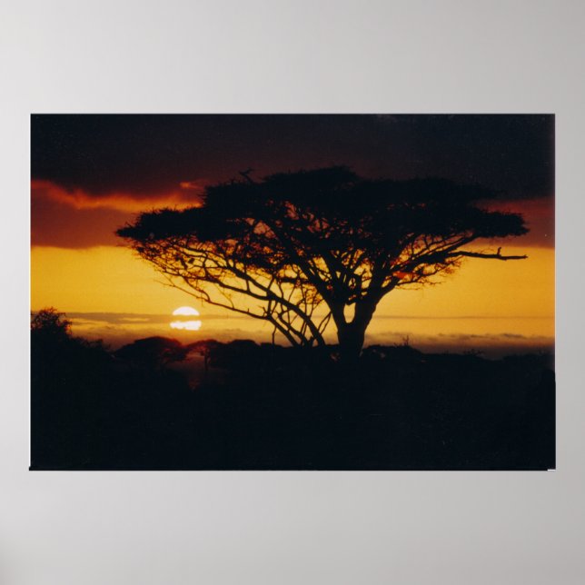 africa sunset poster (Front)