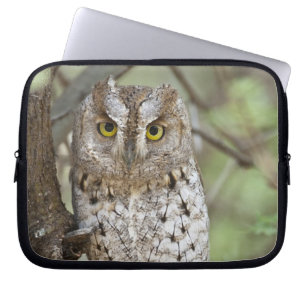 Africa. Tanzania. African Scops Owl at Tarangire 2 Laptop Sleeve