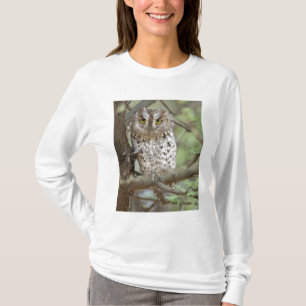 Africa. Tanzania. African Scops Owl at Tarangire 2 T-Shirt