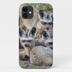 Africa. Tanzania. Bat-Eared Foxes at Ndutu in Case-Mate iPhone Case