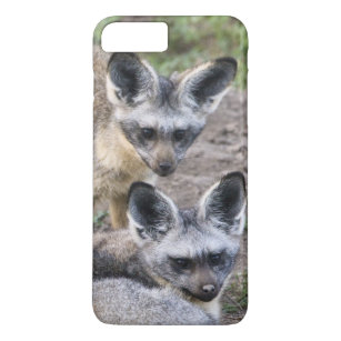 Africa. Tanzania. Bat-Eared Foxes at Ndutu in iPhone 8 Plus/7 Plus Case