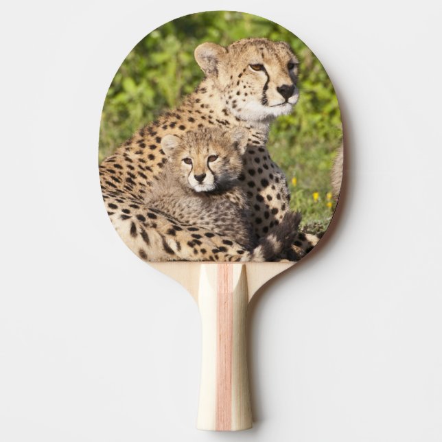 Africa. Tanzania. Cheetah mother and cubs 2 Ping Pong Paddle (Front)