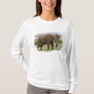 Africa. Tanzania. Elephant at Lake Manyara NP. T-Shirt