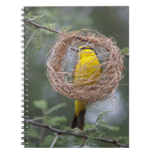 Africa. Tanzania. Female Black-Necked Weaver Spiral Notebook