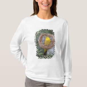 Africa. Tanzania. Female Black-Necked Weaver T-Shirt
