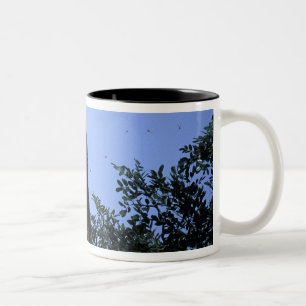 Africa, Tanzania, Glitter reaches for flying Two-Tone Coffee Mug