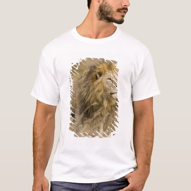 Africa. Tanzania. Male Lion at Ngorongoro T-Shirt (Front)