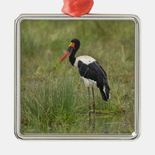 Africa. Tanzania. Male Saddle-billed Stork Metal Tree Decoration
