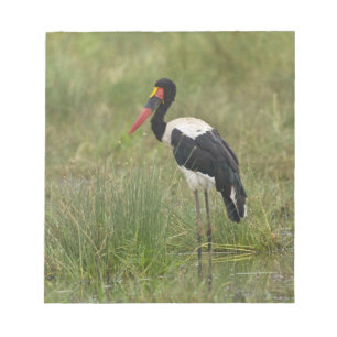 Africa. Tanzania. Male Saddle-billed Stork Notepad