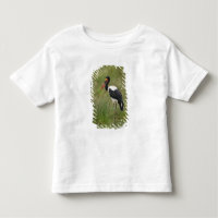 Africa. Tanzania. Male Saddle-billed Stork