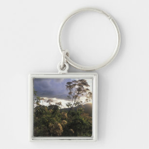 Africa, Tanzania, Ngorongoro Conservation Area, Key Ring