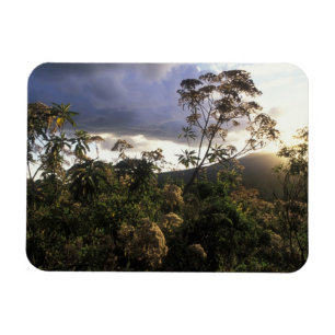 Africa, Tanzania, Ngorongoro Conservation Area, Magnet