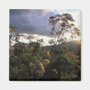 Africa, Tanzania, Ngorongoro Conservation Area, Magnet