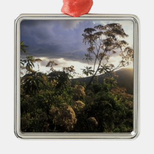 Africa, Tanzania, Ngorongoro Conservation Area, Metal Tree Decoration