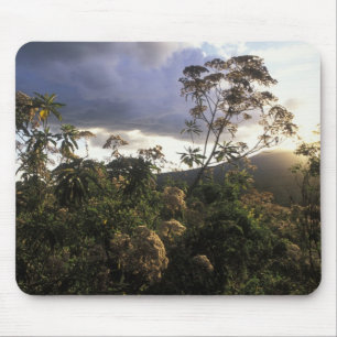 Africa, Tanzania, Ngorongoro Conservation Area, Mouse Pad