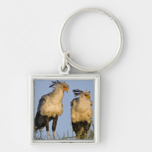 Africa. Tanzania. Secretary Birds at Ndutu Key Ring