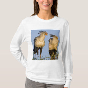 Africa. Tanzania. Secretary Birds at Ndutu T-Shirt