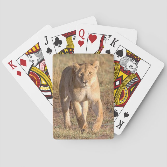 Africa, Tanzania, Serengeti. Lion And Lioness Playing Cards (Back)