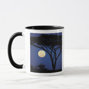 Africa, Tanzania, Tarangire. Acacia tree in Mug