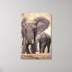 Africa, Tanzania, Tarangire National Park. 2 Canvas Print