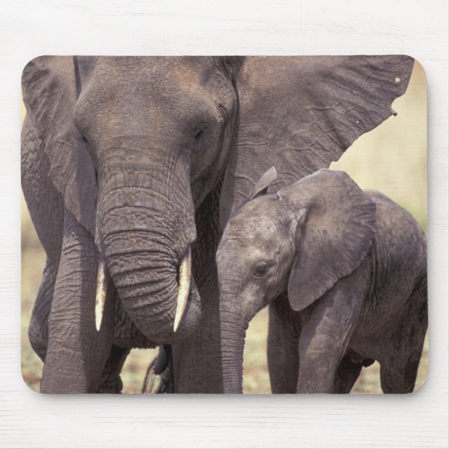 Africa, Tanzania, Tarangire National Park. 2 Mouse Pad (Front)