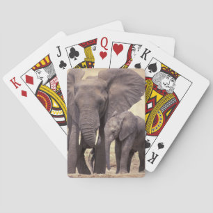 Africa, Tanzania, Tarangire National Park. 2 Playing Cards