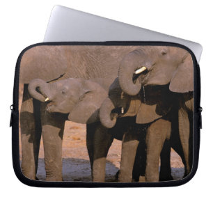 Africa, Tanzania, Tarangire National Park. Laptop Sleeve