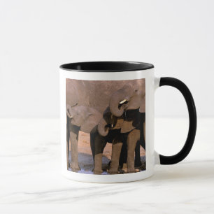 Africa, Tanzania, Tarangire National Park. Mug