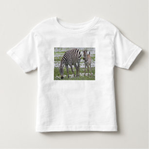 Africa. Tanzania. Zebra mother and colt Toddler T-Shirt