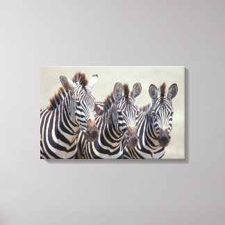 Africa, Tanzania, zebras Canvas Print