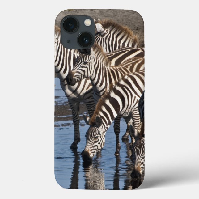 Africa. Tanzania. Zebras drinking at Ndutu Case-Mate iPhone Case (Back)