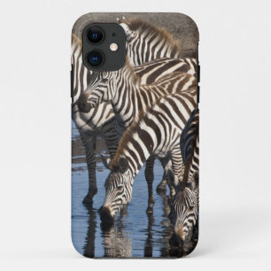 Africa. Tanzania. Zebras drinking at Ndutu Case-Mate iPhone Case