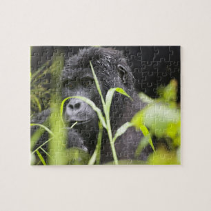 Africa Uganda, Bwindi Jigsaw Puzzle