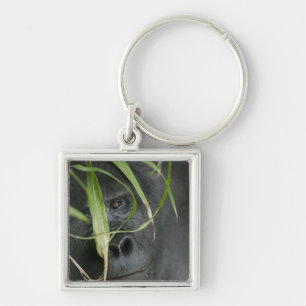 Africa, Uganda, Bwindi Key Ring