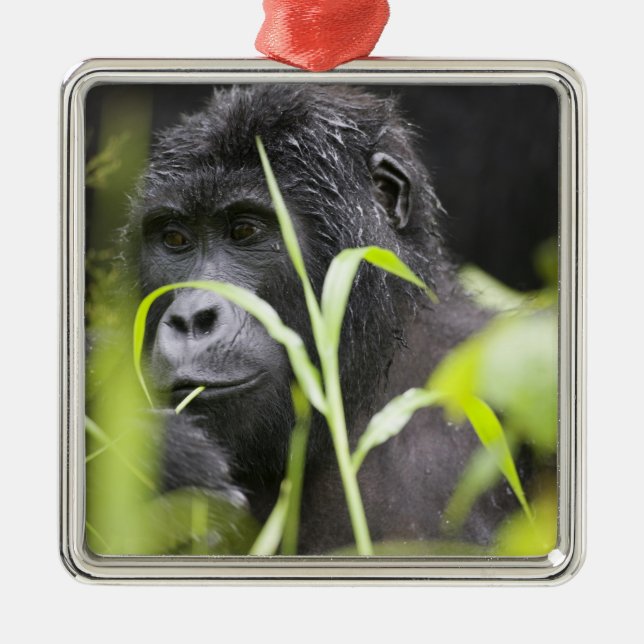 Africa Uganda, Bwindi Metal Tree Decoration (Front)