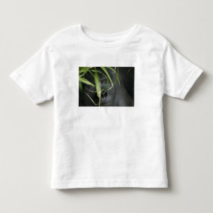 Africa, Uganda, Bwindi Toddler T-Shirt