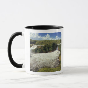 Africa, Uganda, Murchison Falls NP. The frothy Mug