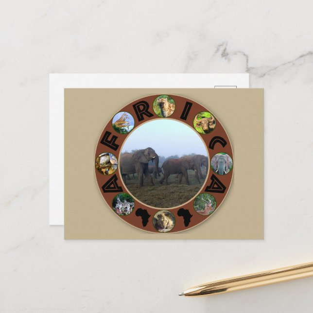 Africa Wildlife Circle Elephant Herd Mist Postcard (Front/Back In Situ)
