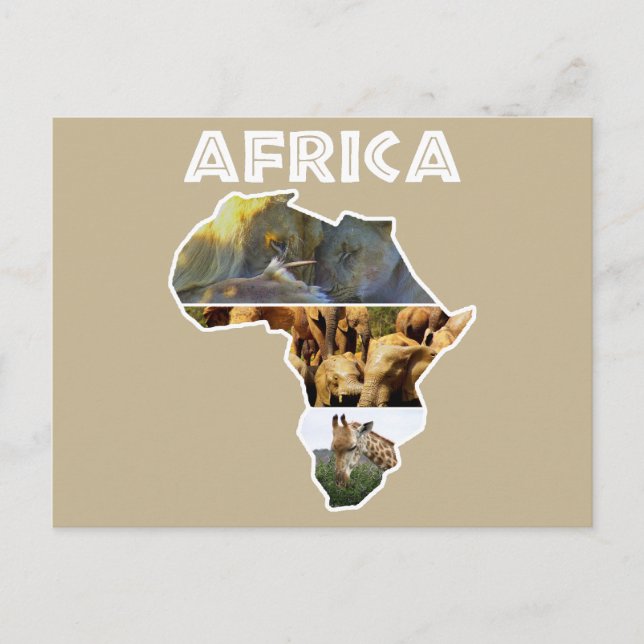 Africa Wildlife Continent Collage Holiday Postcard (Front)