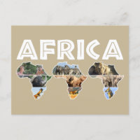 Africa Wildlife Continent Trio Collage