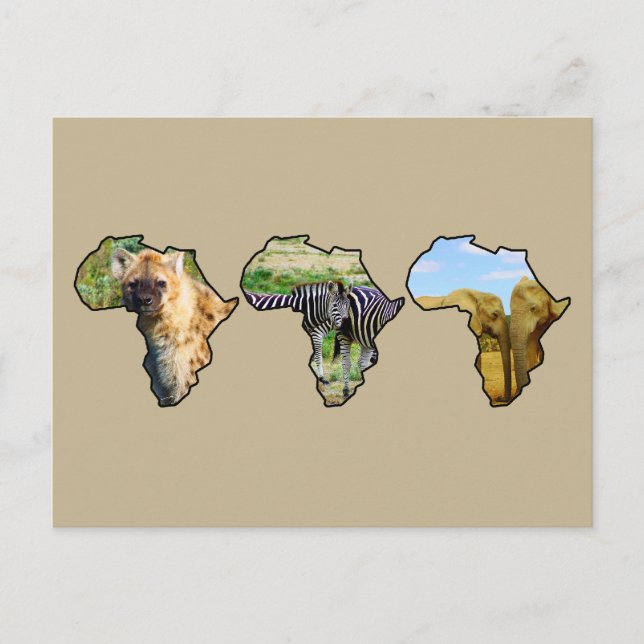 Africa Wildlife Continent Trio Wildlife Photos Holiday Postcard (Front)