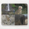 Africa Wildlife Mousepad