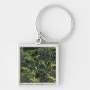 Africa, Zambia, Mosi-Oa-Tunya National Park, Key Ring