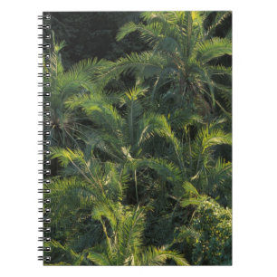 Africa, Zambia, Mosi-Oa-Tunya National Park, Spiral Notebook