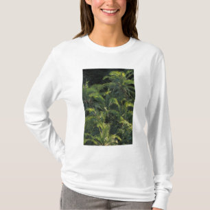 Africa, Zambia, Mosi-Oa-Tunya National Park, T-Shirt