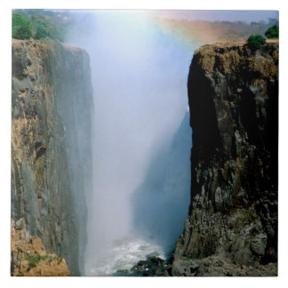 Africa, Zambia, Victoria Falls National Park. Tile