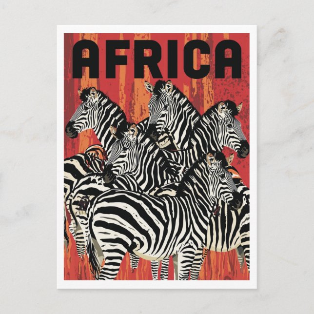 Africa Zebra Safari Vintage Art Postcard (Front)