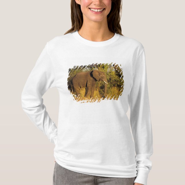 Africa, Zimbabwe, Victoria Falls National Park. T-Shirt (Front)
